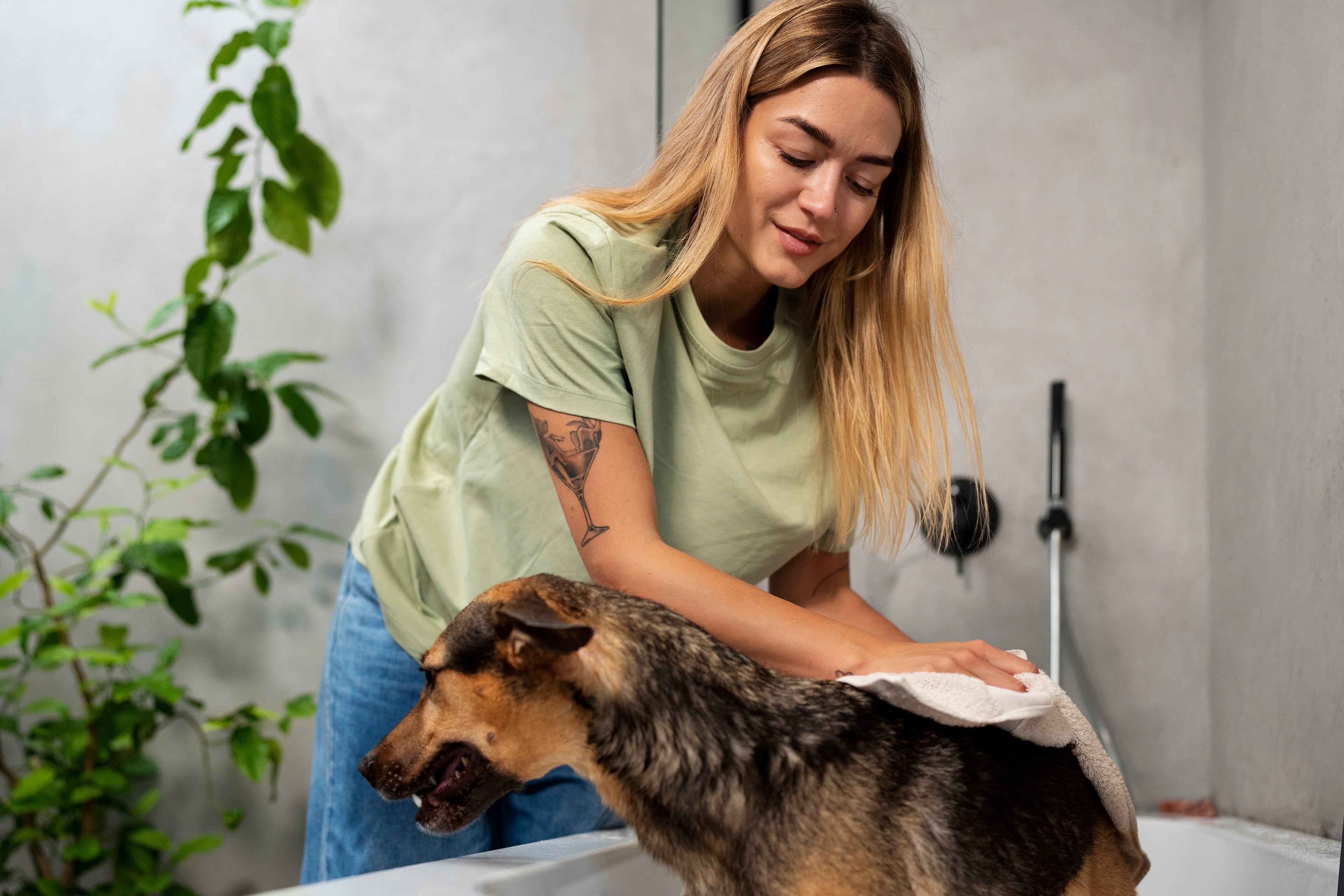 Pet Essentials